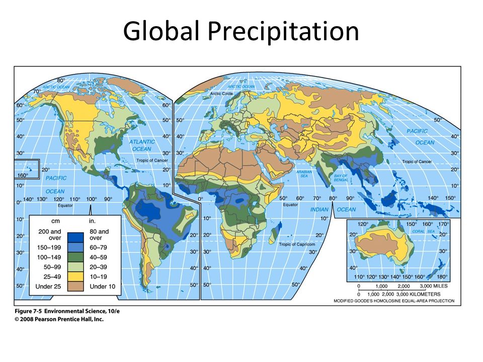 Global Precipitation