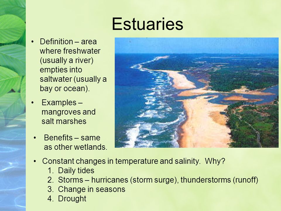 Estuaries Definition – area where freshwater (usually a river) empties into saltwater (usually a bay or ocean).