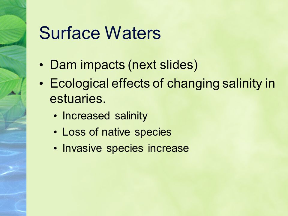 Surface Waters Dam impacts (next slides) Ecological effects of changing salinity in estuaries.