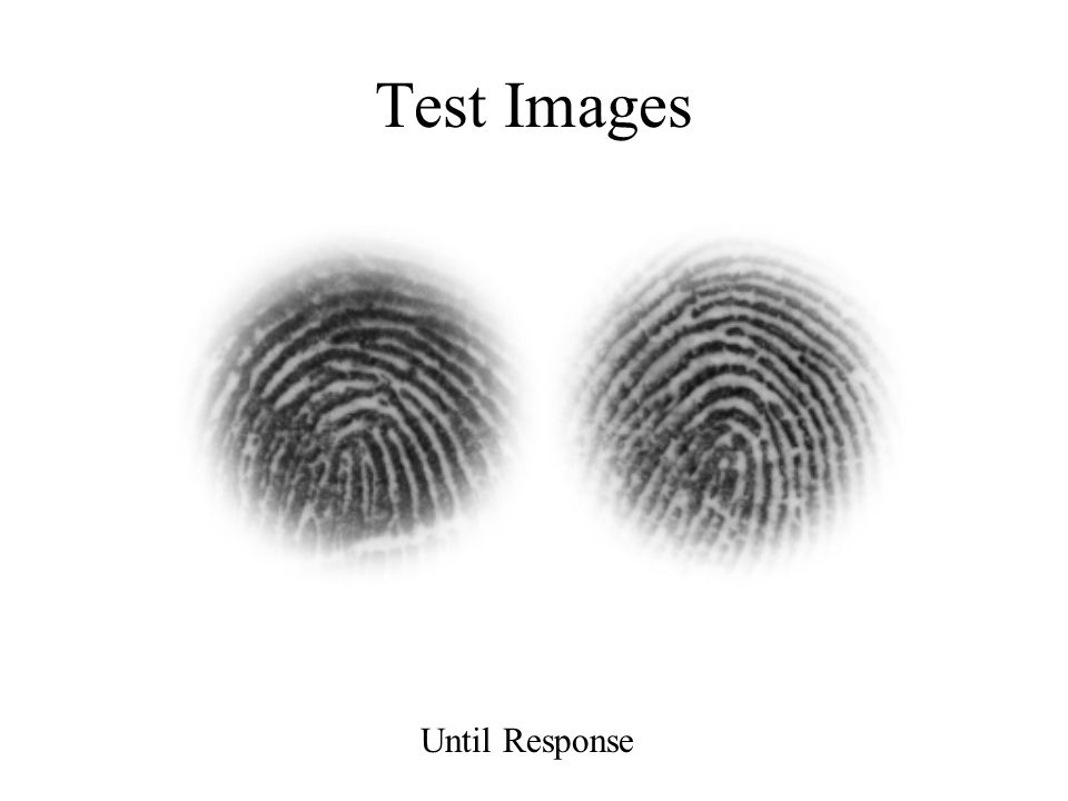 Test Images Until Response