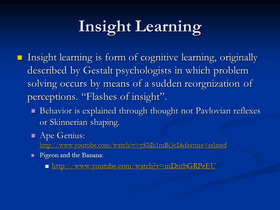 insight learning theory