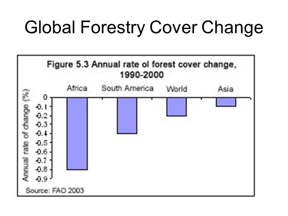 Global Forestry Cover Change