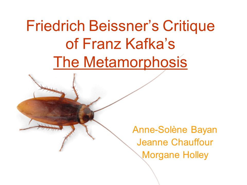Friedrich Beissner S Critique Of Franz Kafka S The
