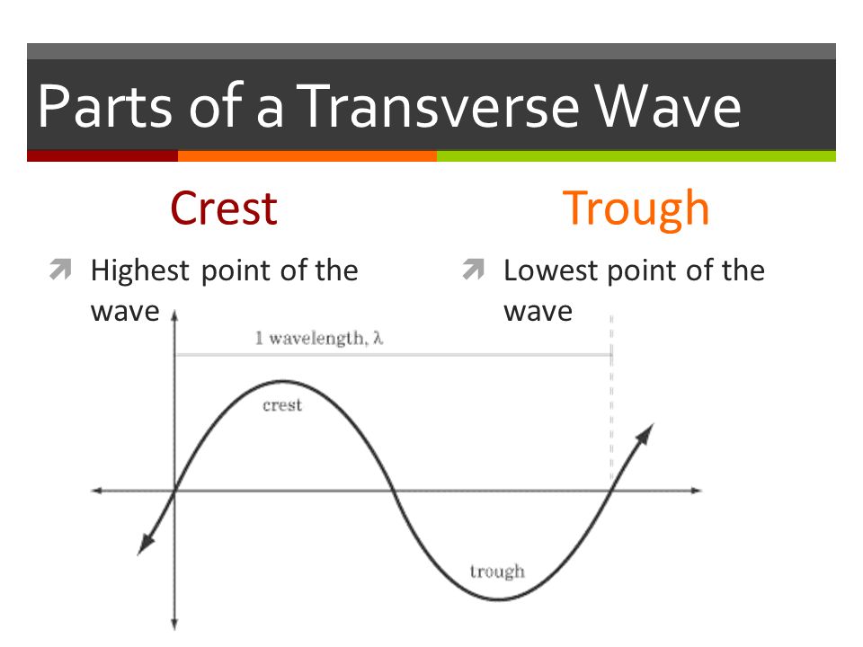 Parts of a Transverse Wave Crest  Highest point of the wave Trough  Lowest point of the wave