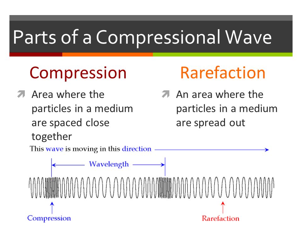 Parts of a Compressional Wave Compression  Area where the particles in a medium are spaced close together Rarefaction  An area where the particles in a medium are spread out