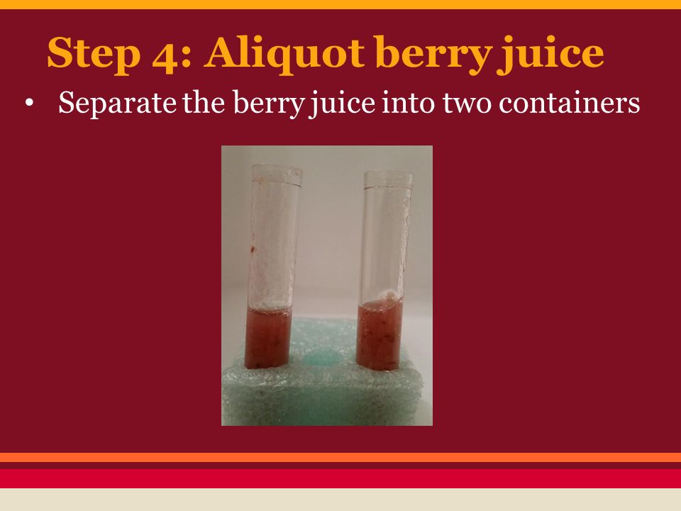 Step 4: Aliquot berry juice Separate the berry juice into two containers