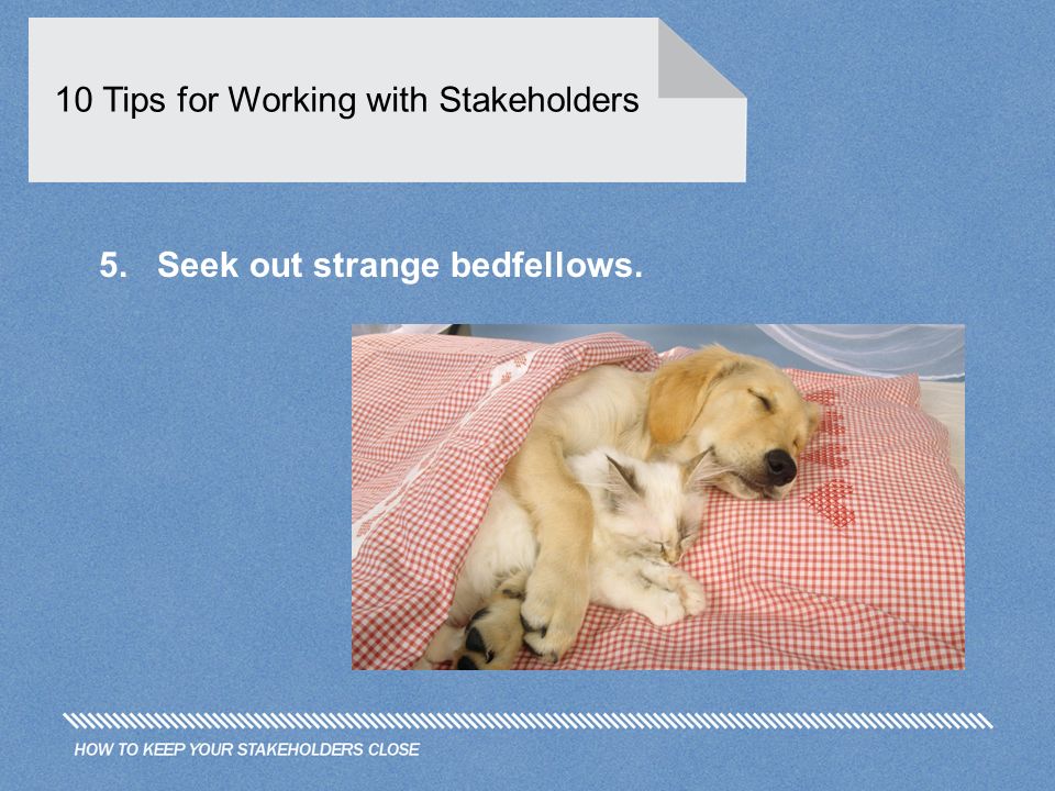 10 Tips for Working with Stakeholders 5. Seek out strange bedfellows.