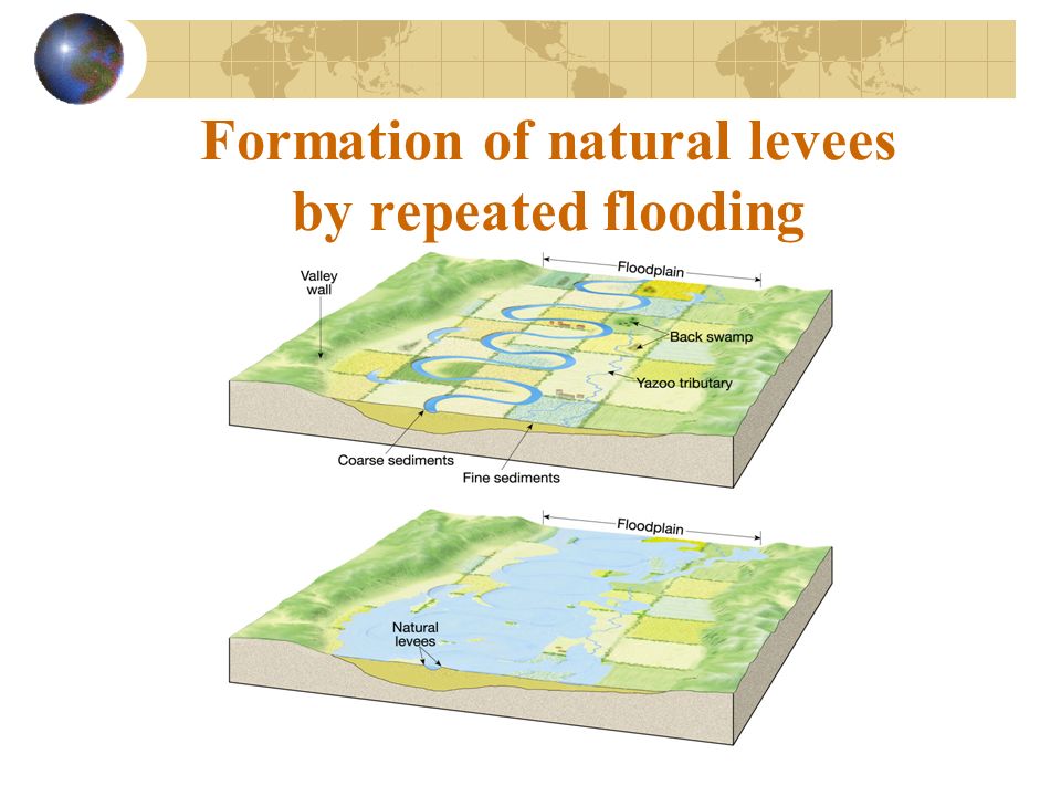 Formation of natural levees by repeated flooding