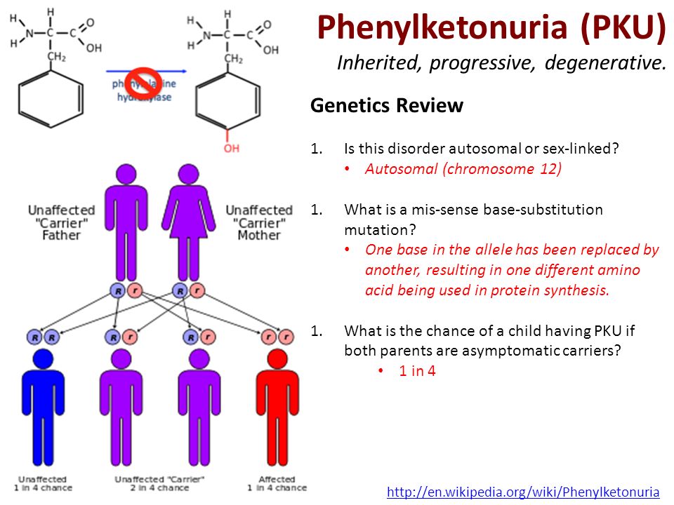 Фенилкетонурия генотип. Фенилкетонурия кариотип. Кариотип больного фенилкетонурией. Фенилкетонурия хромосома. Фенилкетонурия набор хромосом.
