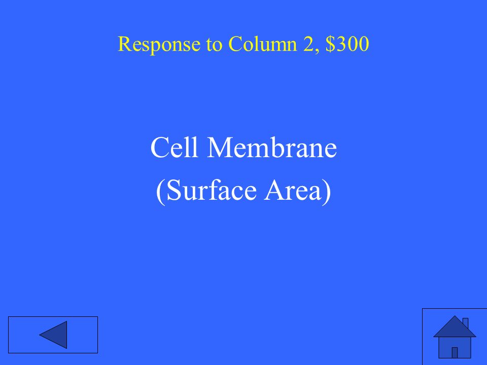 Response to Column 2, $300 Cell Membrane (Surface Area)