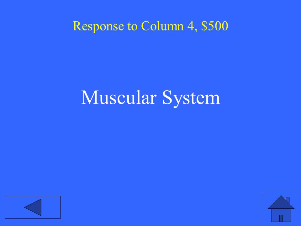 Response to Column 4, $500 Muscular System