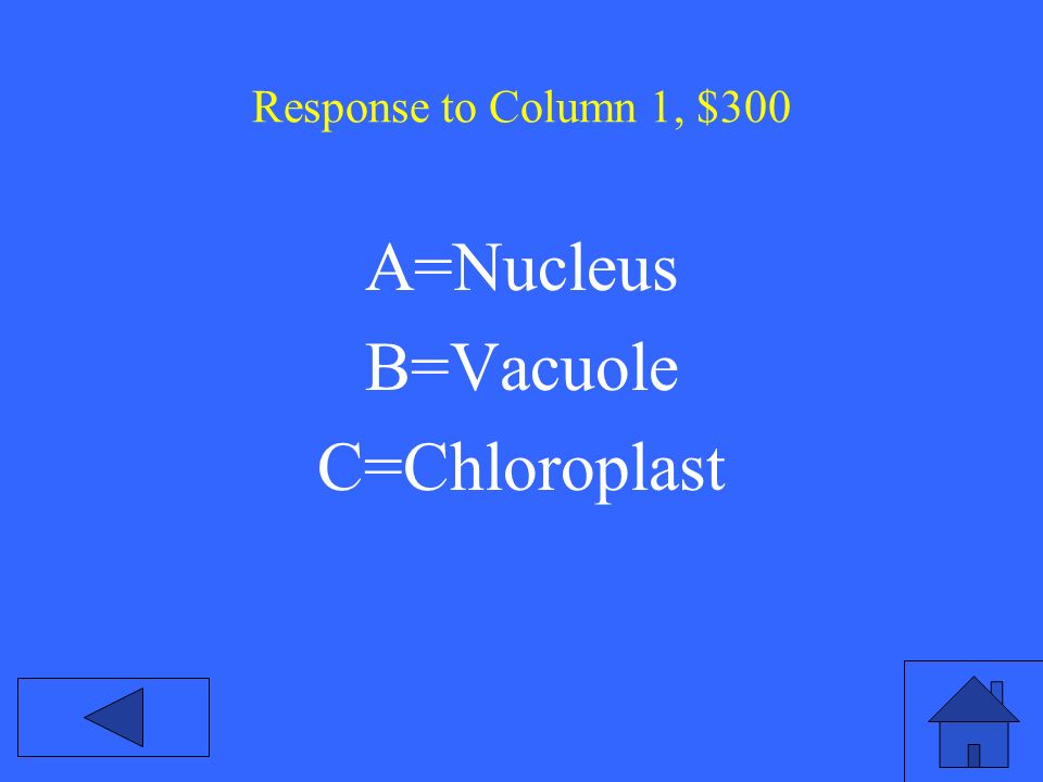 Response to Column 1, $300 A=Nucleus B=Vacuole C=Chloroplast