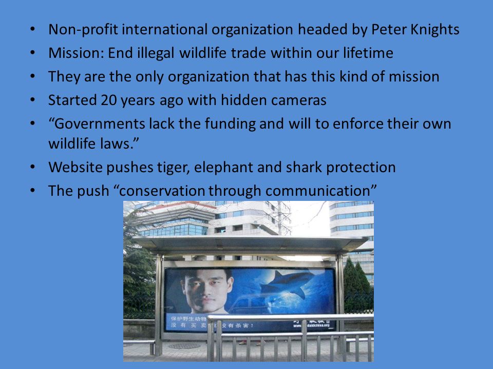 l Non-profit international organization headed by Peter Knights Mission: End illegal wildlife trade within our lifetime They are the only organization that has this kind of mission Started 20 years ago with hidden cameras Governments lack the funding and will to enforce their own wildlife laws. Website pushes tiger, elephant and shark protection The push conservation through communication