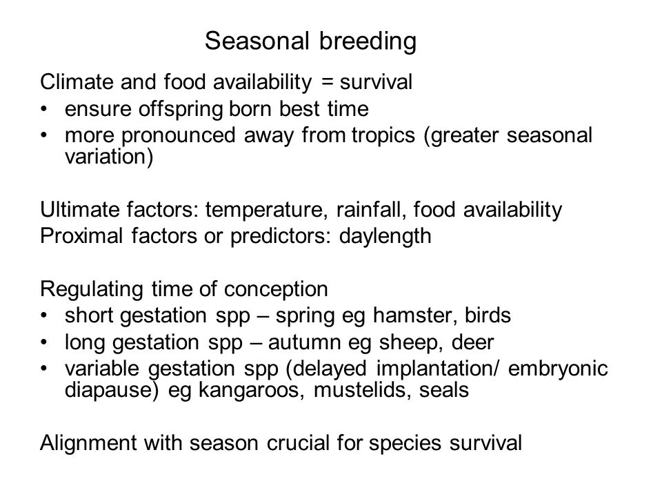 Seasonal breeding Climate and food availability = survival ensure offspring born best time more pronounced away from tropics (greater seasonal variation) Ultimate factors: temperature, rainfall, food availability Proximal factors or predictors: daylength Regulating time of conception short gestation spp – spring eg hamster, birds long gestation spp – autumn eg sheep, deer variable gestation spp (delayed implantation/ embryonic diapause) eg kangaroos, mustelids, seals Alignment with season crucial for species survival