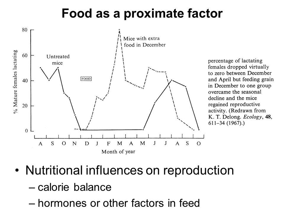 Food as a proximate factor Nutritional influences on reproduction –calorie balance –hormones or other factors in feed