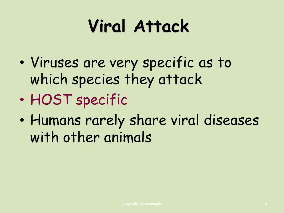 2 Viral Attack Viruses are very specific as to which species they attack HOST specific Humans rarely share viral diseases with other animals copyright cmassengale