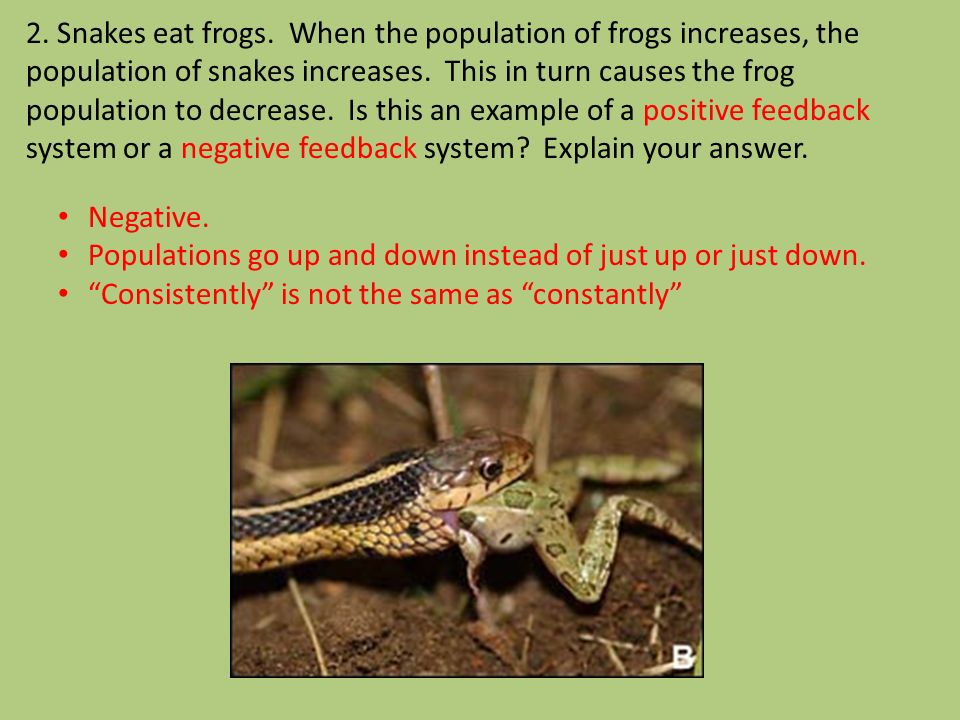 2. Snakes eat frogs. When the population of frogs increases, the population of snakes increases.
