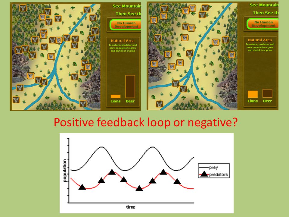 Positive feedback loop or negative