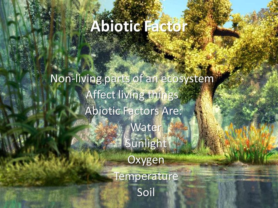 Abiotic Factor Non-living parts of an ecosystem Affect living things Abiotic Factors Are: Abiotic Factors Are:WaterSunlightOxygenTemperatureSoil