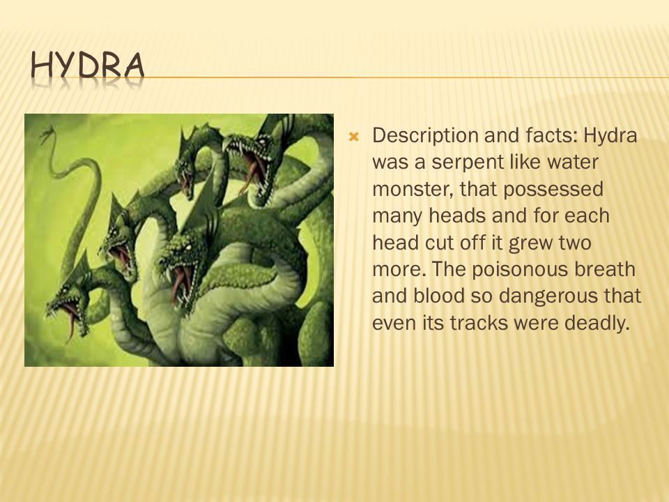 Description and facts: Medusa was a beautiful woman but Athena transformed  her hair into serpents (snakes) and made her face terrible that you looked.  - ppt download