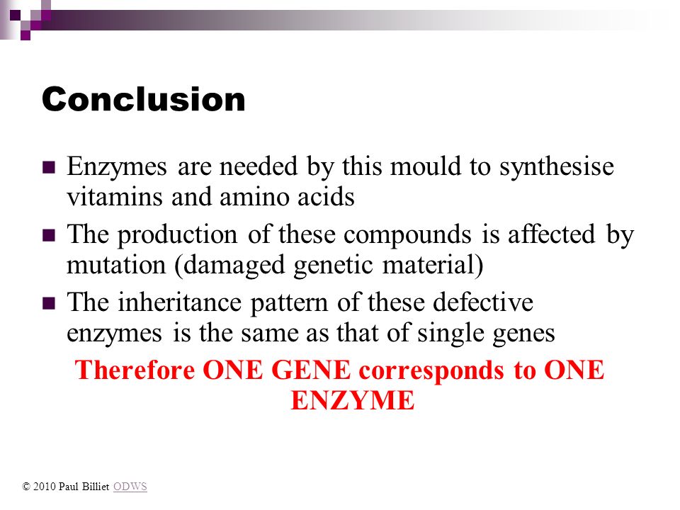 Conclusion Enzymes are needed by this mould to synthesise vitamins and amino acids The production of these compounds is affected by mutation (damaged genetic material) The inheritance pattern of these defective enzymes is the same as that of single genes Therefore ONE GENE corresponds to ONE ENZYME © 2010 Paul Billiet ODWSODWS