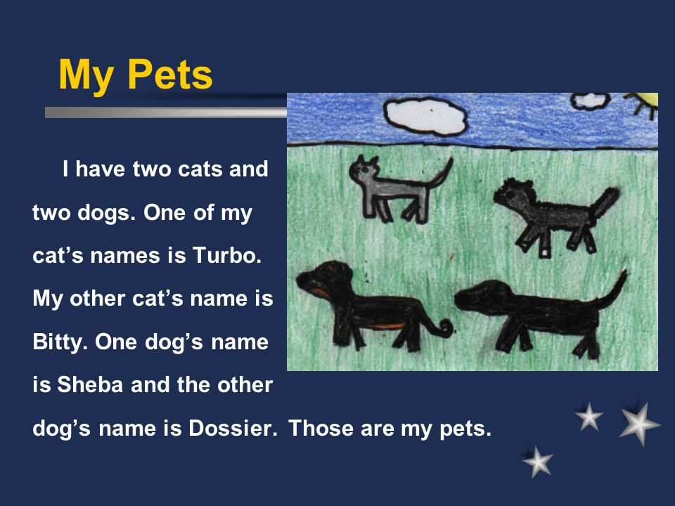 My Pets I have two cats and two dogs. One of my cat’s names is Turbo.