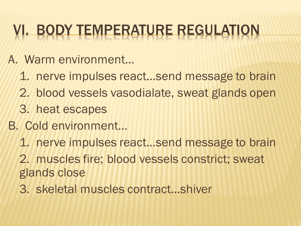 A. Warm environment… 1. nerve impulses react…send message to brain 2.