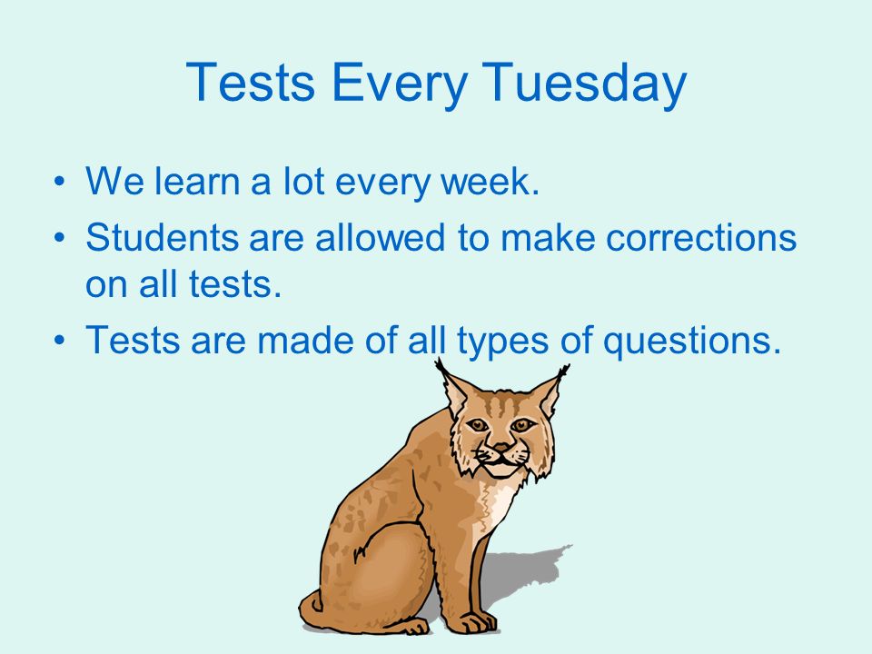Tests Every Tuesday We learn a lot every week.