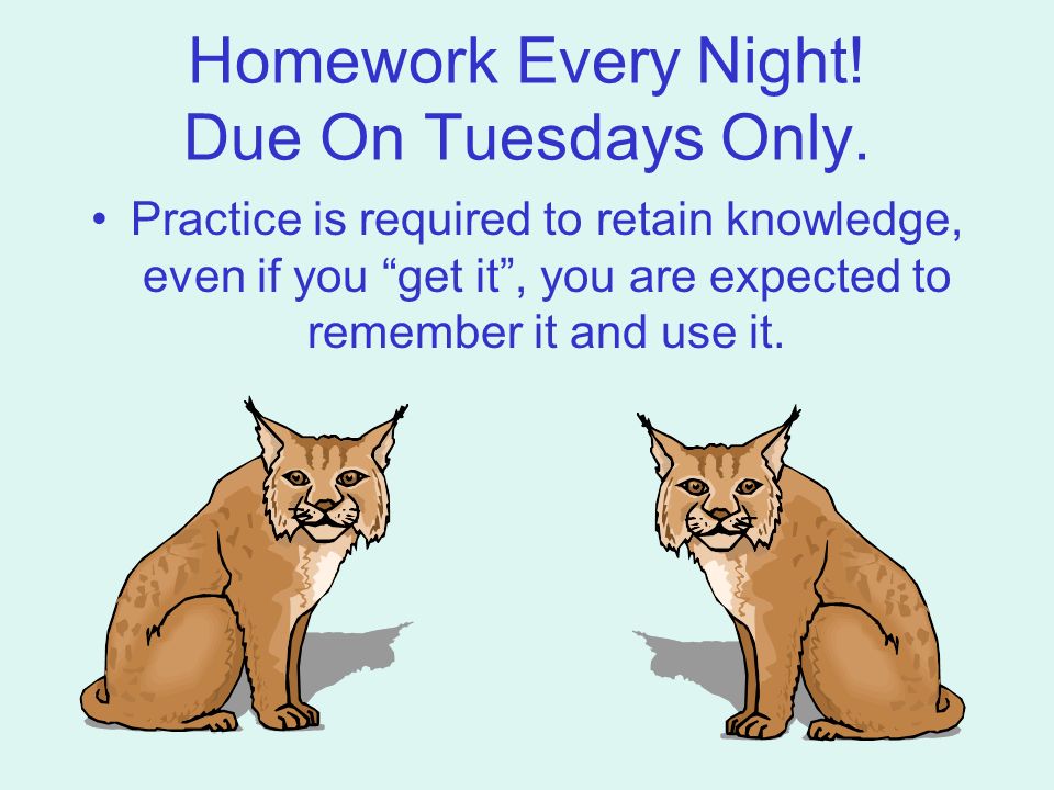 Homework Every Night. Due On Tuesdays Only.