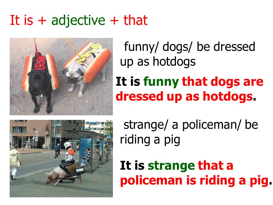 It is + adjective + that funny/ dogs/ be dressed up as hotdogs strange/ a policeman/ be riding a pig It is funny that dogs are dressed up as hotdogs.