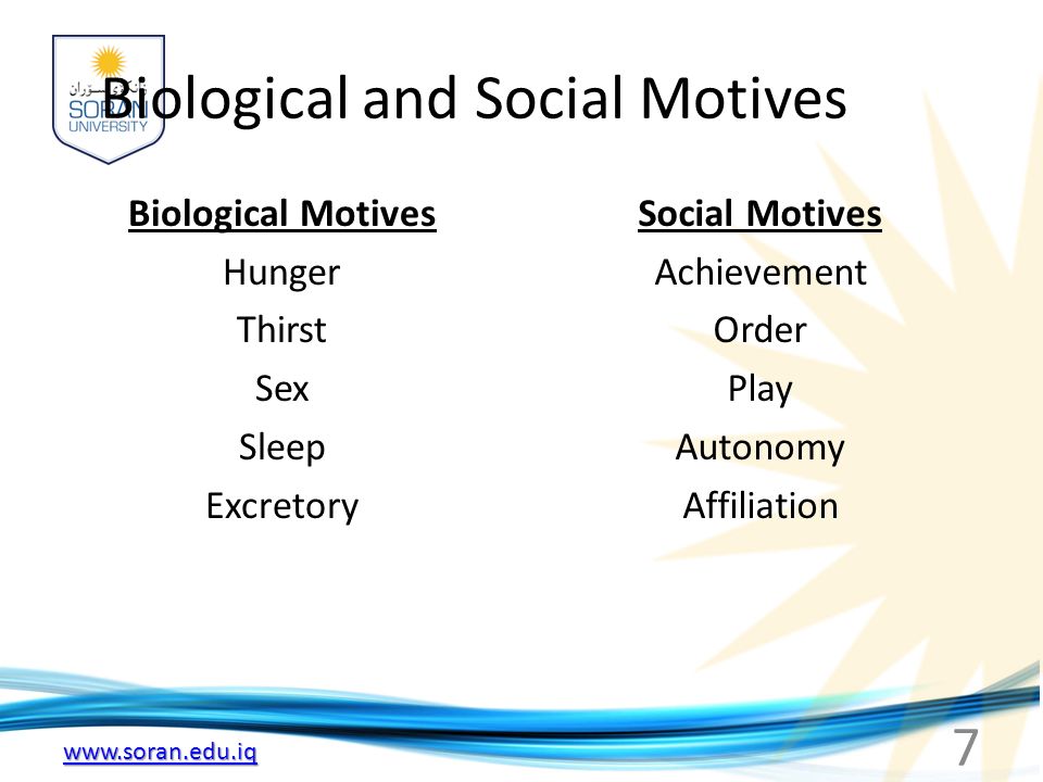 social motives psychology definition