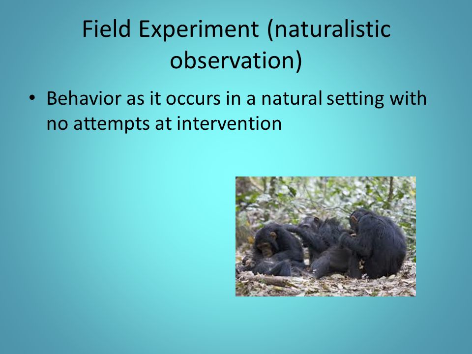 Field Experiment (naturalistic observation) Behavior as it occurs in a natural setting with no attempts at intervention