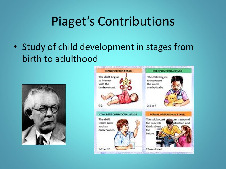 Piaget’s Contributions Study of child development in stages from birth to adulthood