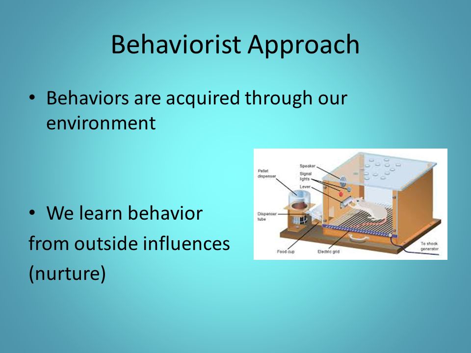 Behaviorist Approach Behaviors are acquired through our environment We learn behavior from outside influences (nurture)