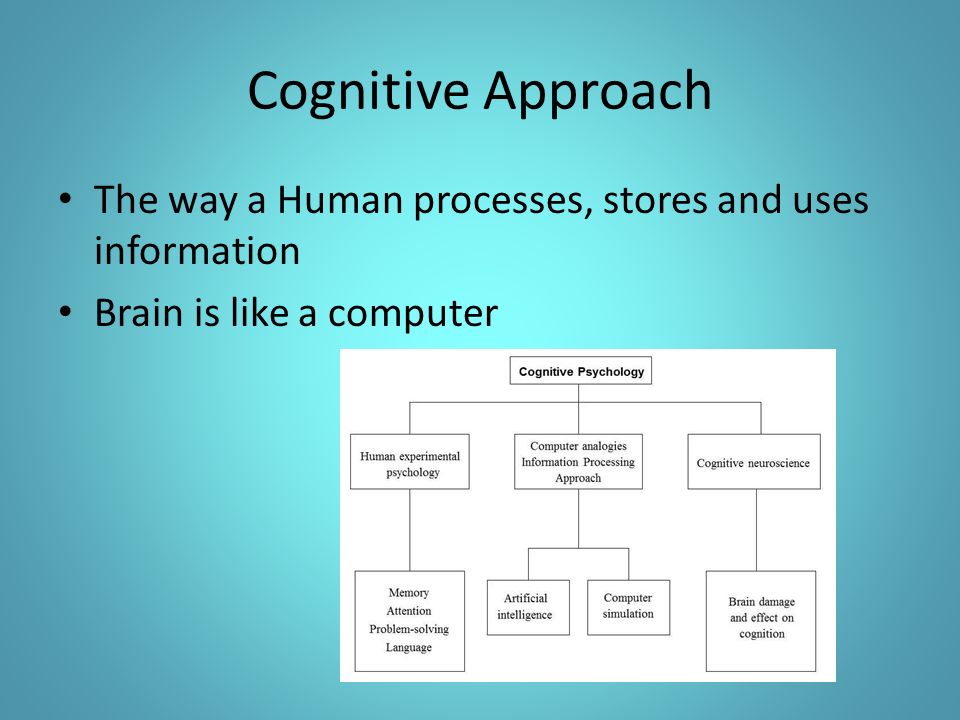 Cognitive Approach The way a Human processes, stores and uses information Brain is like a computer