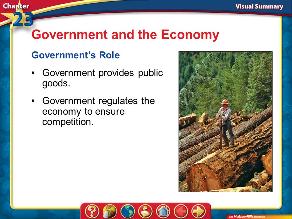 VS 1 Government and the Economy Government’s Role Government provides public goods.