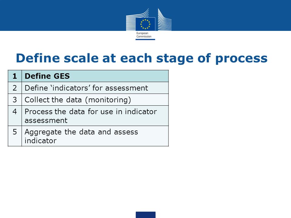 Define scale at each stage of process 1 Define GES 2 Define ‘indicators’ for assessment 3 Collect the data (monitoring) 4 Process the data for use in indicator assessment 5 Aggregate the data and assess indicator