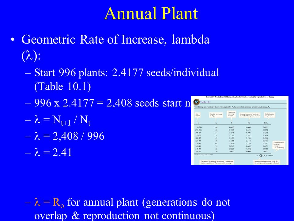 Annual Plant Geometric Rate of Increase, lambda ( ): –Start 996 plants: seeds/individual (Table 10.1) –996 x = 2,408 seeds start next year – = N t+1 / N t – = 2,408 / 996 – = 2.41 – = R o for annual plant (generations do not overlap & reproduction not continuous)