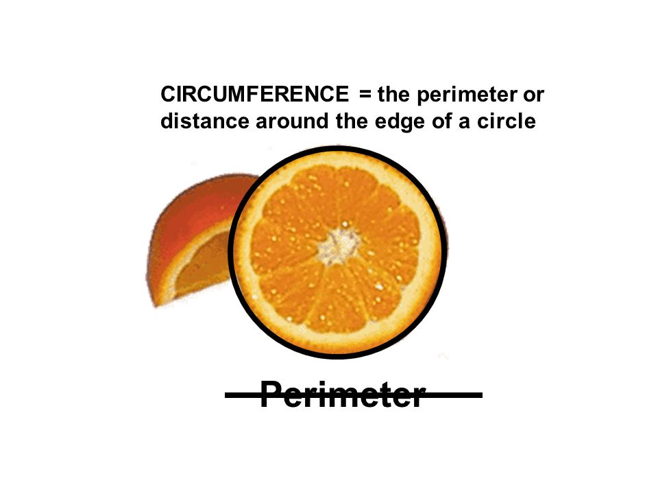 Perimeter CIRCUMFERENCE = the perimeter or distance around the edge of a circle