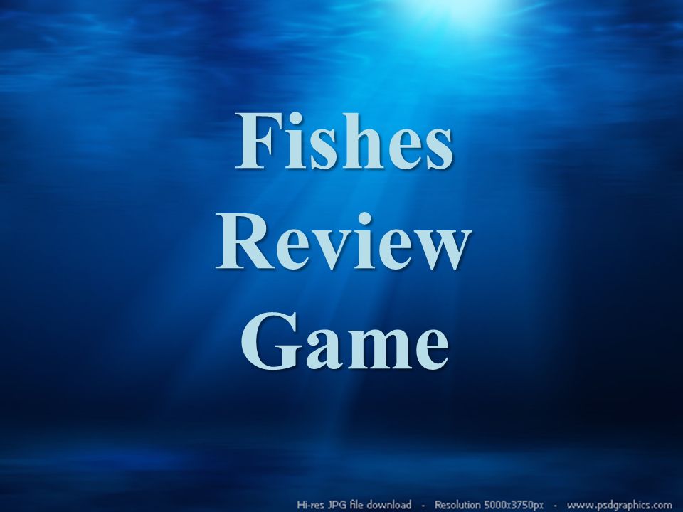 Fishes Review Game