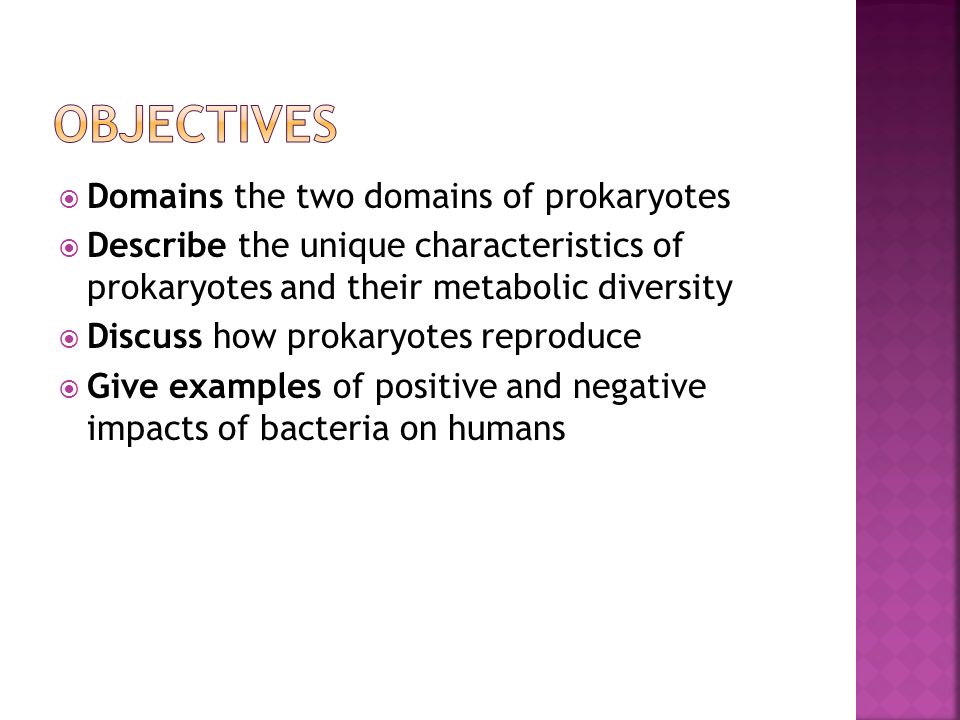  Domains the two domains of prokaryotes  Describe the unique characteristics of prokaryotes and their metabolic diversity  Discuss how prokaryotes reproduce  Give examples of positive and negative impacts of bacteria on humans