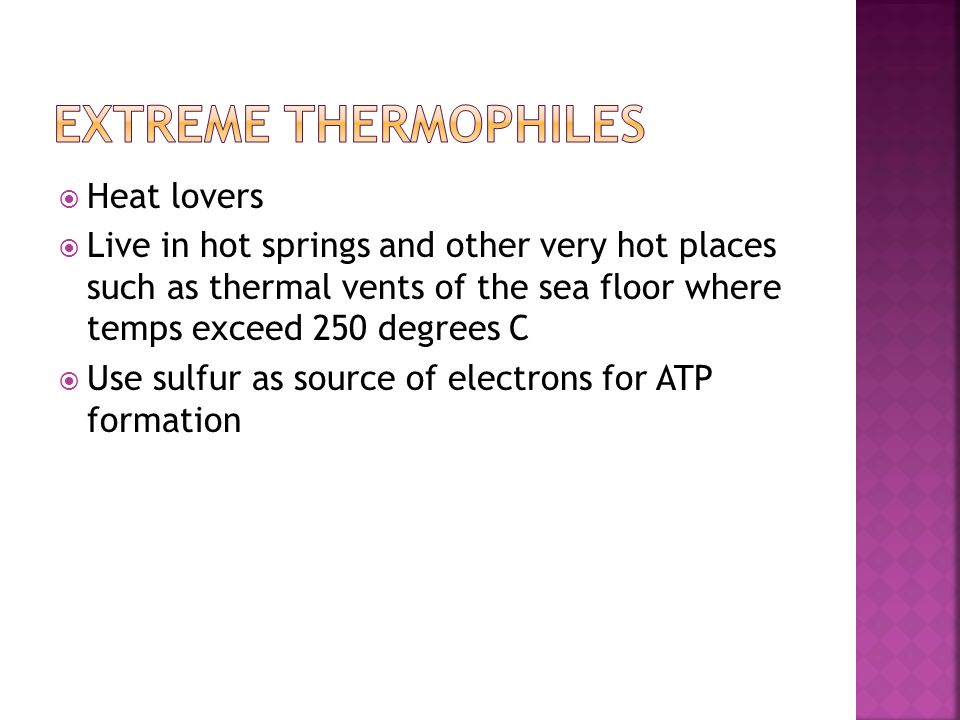  Heat lovers  Live in hot springs and other very hot places such as thermal vents of the sea floor where temps exceed 250 degrees C  Use sulfur as source of electrons for ATP formation