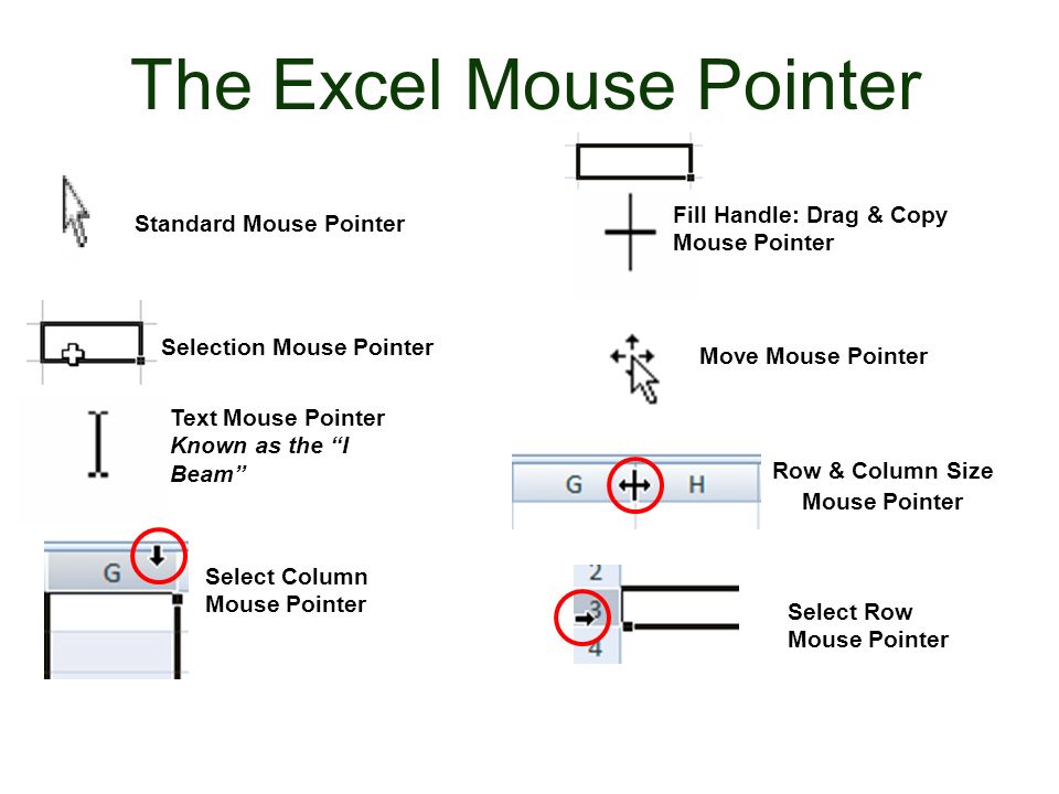 Introduction to Excel 2010 Written by: Andie Philo. - ppt download