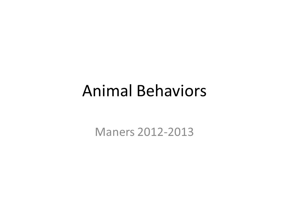 Animal Behaviors Maners