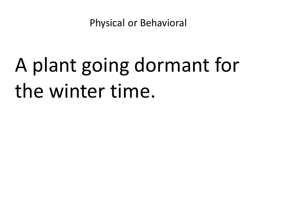 Physical or Behavioral A plant going dormant for the winter time.