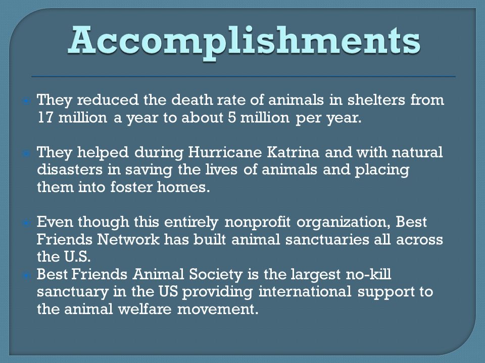  They reduced the death rate of animals in shelters from 17 million a year to about 5 million per year.