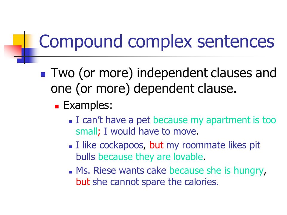 Types Of Sentences Grammar Lesson 5 Notes Types Of Sentences