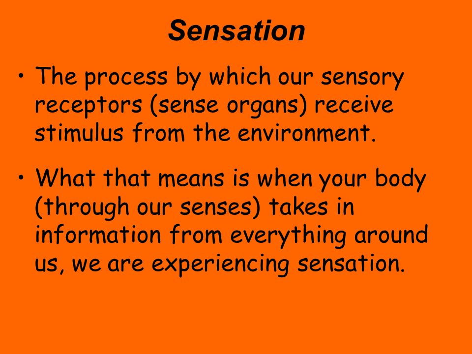 Sensation The process by which our sensory receptors (sense organs) receive stimulus from the environment.