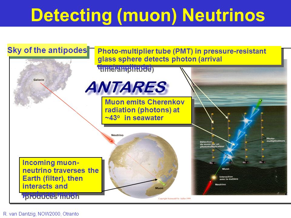 Detecting (muon) Neutrinos Incoming muon- neutrino traverses the Earth (filter), then interacts and produces muon Muon emits Cherenkov radiation (photons) at ~43 o in seawater Photo-multiplier tube (PMT) in pressure-resistant glass sphere detects photon (arrival time/amplitude ) Sky of the antipodes R.