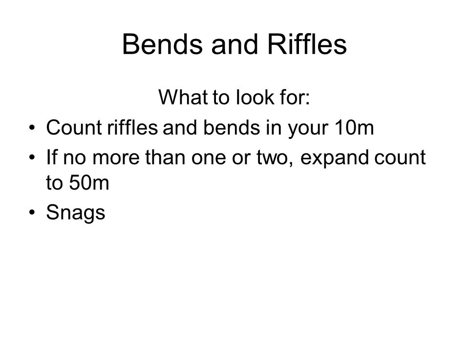 Bends and Riffles What to look for: Count riffles and bends in your 10m If no more than one or two, expand count to 50m Snags